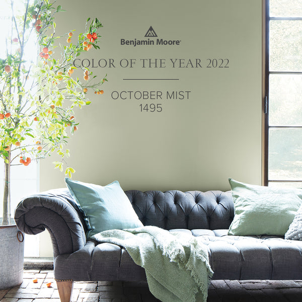 Benjamin Moore Color of The Year 2022